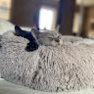 Meet your Posher, Heidi